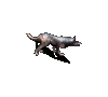 늑대
