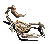 스콜피온