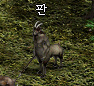 판